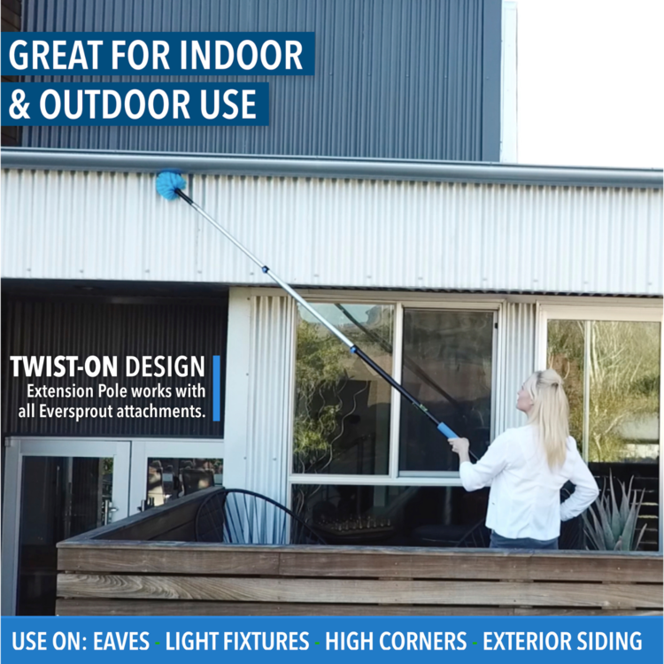 Cobweb Duster + Extension Pole