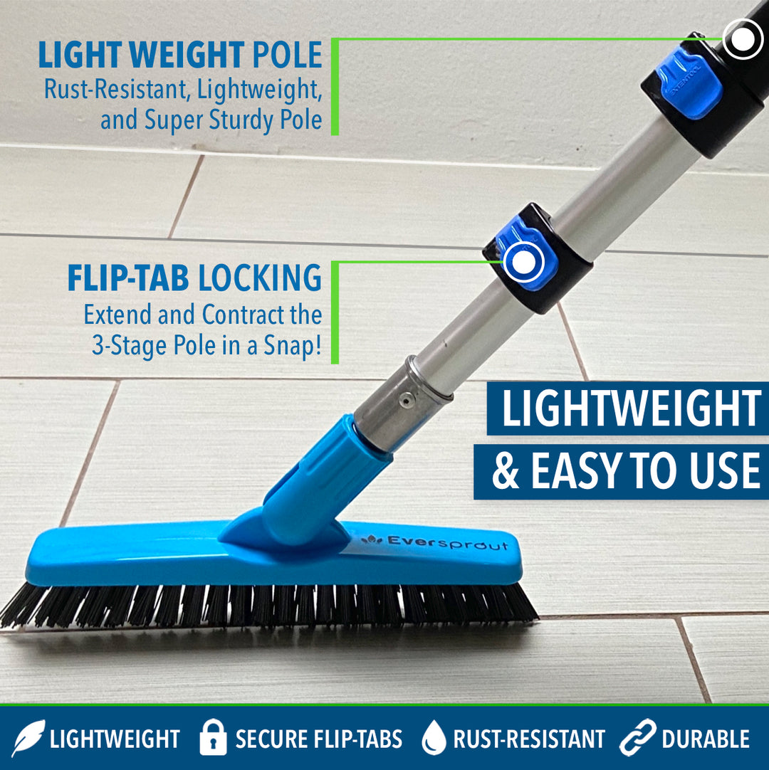 Grout Brush + 3&