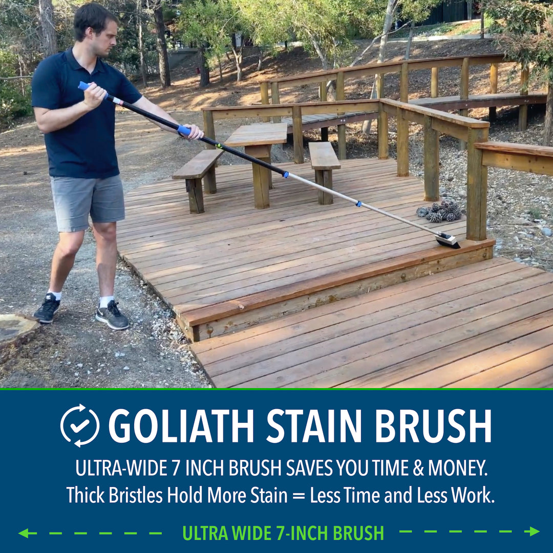Goliath Stain Brush + 12&