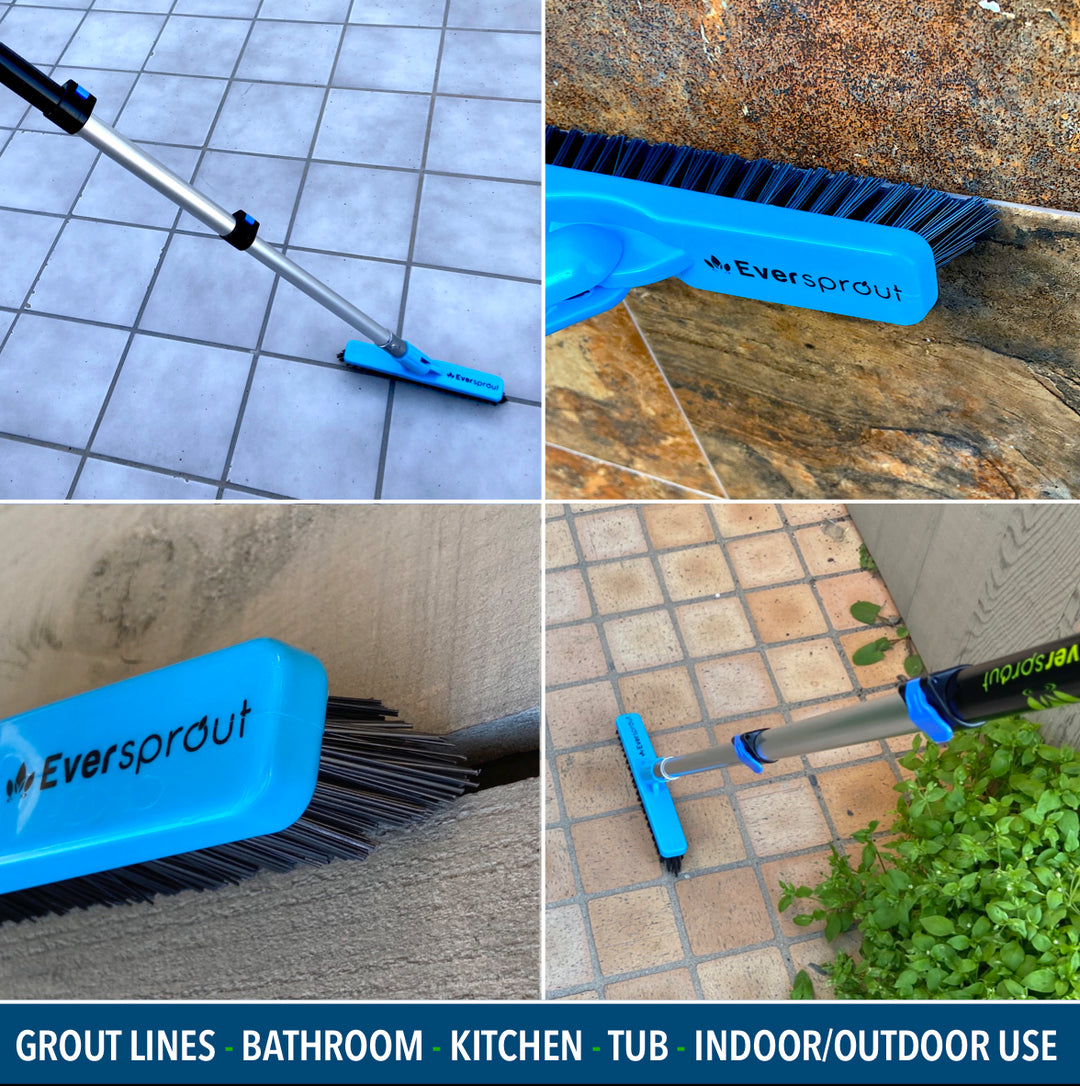 Grout Brush + 3&