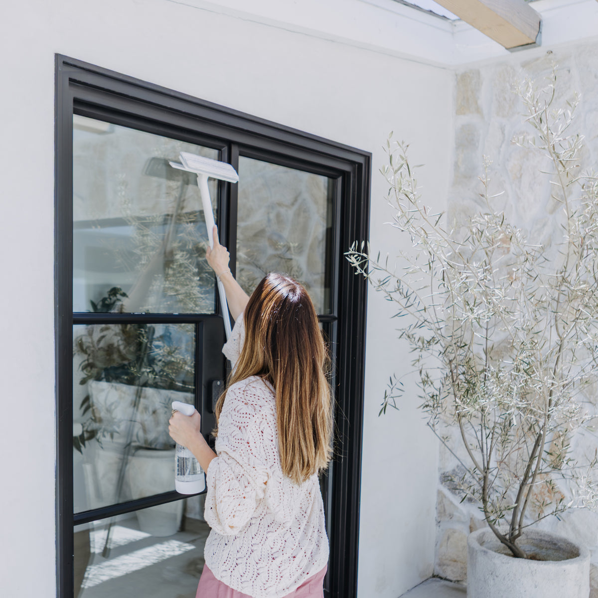Swift Shine Window Washer