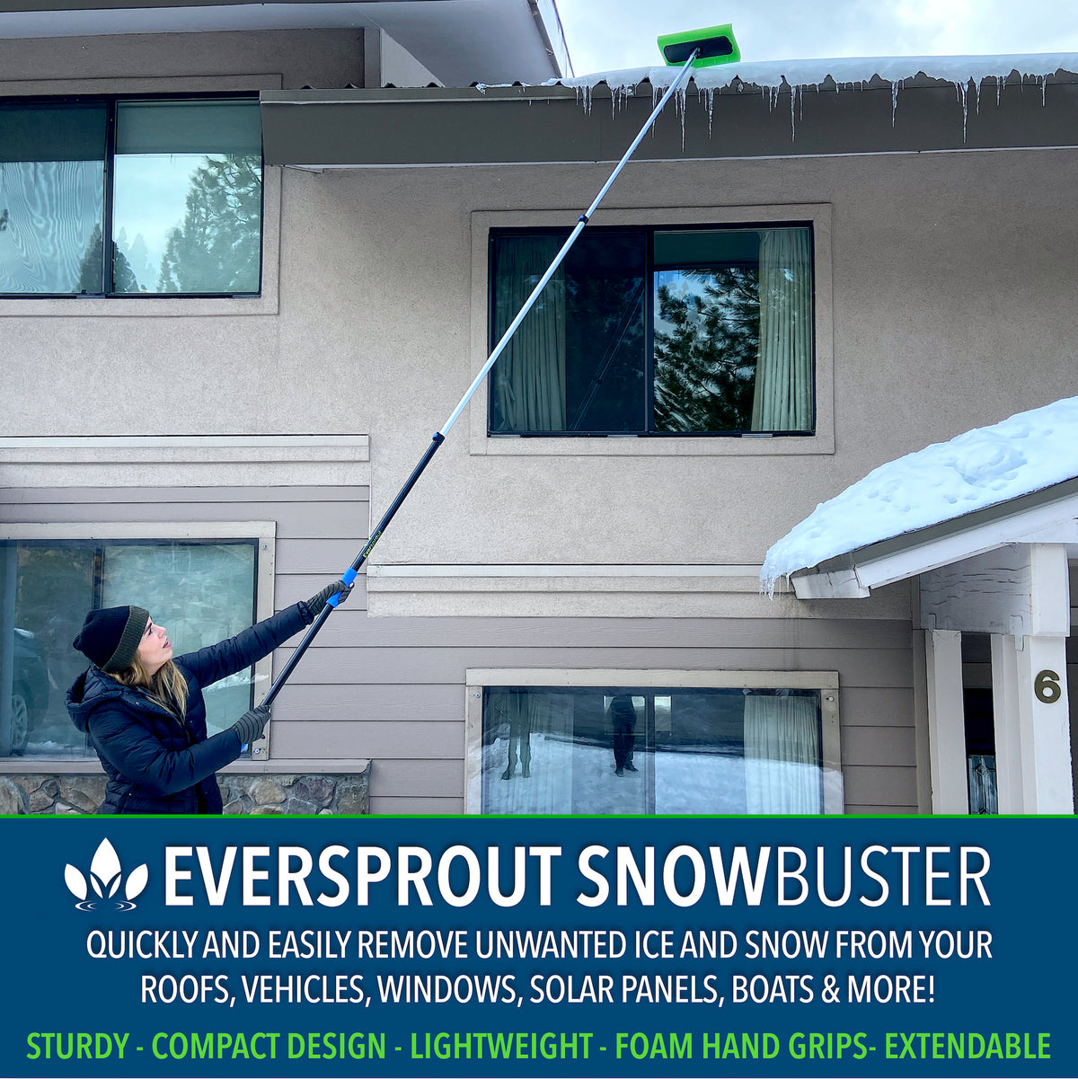 SnowBuster + 12' Extension Pole