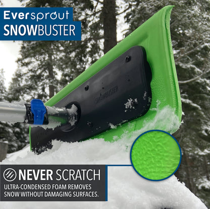 SnowBuster + 3' Extension Pole