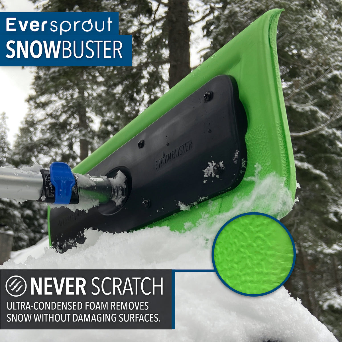 SnowBuster + 12' Extension Pole