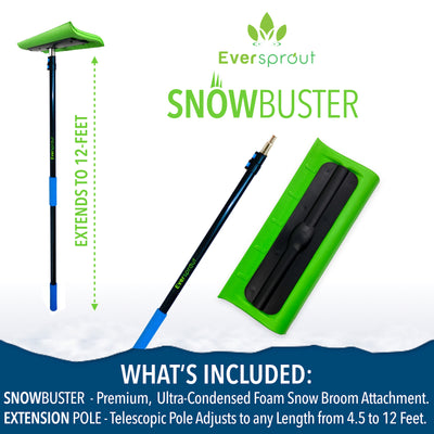 SnowBuster + 12' Extension Pole
